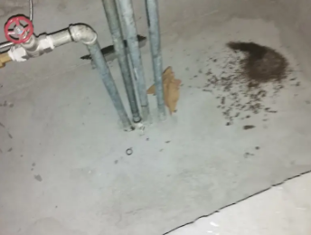 滑县卫生间测漏水价格明细